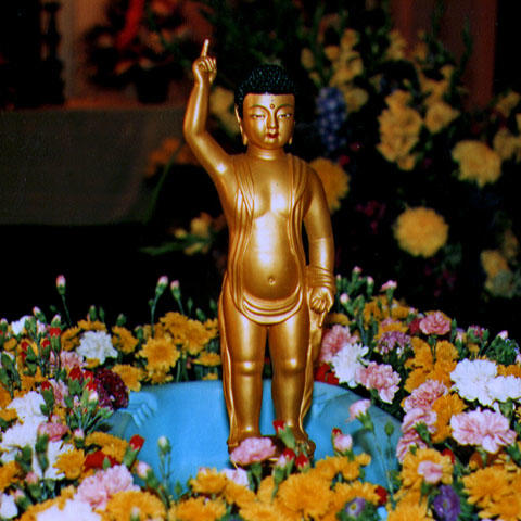 Buddha's Birthday